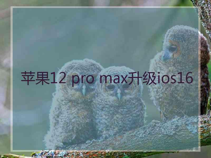 苹果12 pro max升级ios16