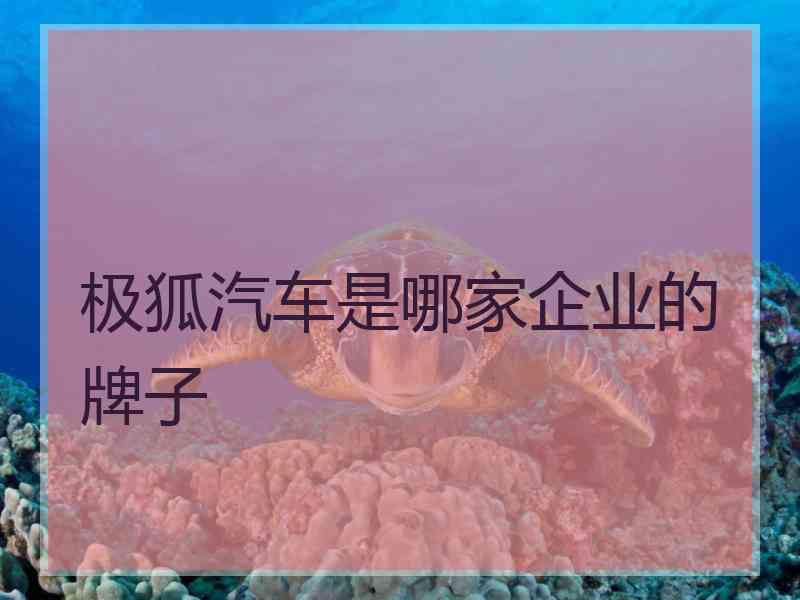 极狐汽车是哪家企业的牌子