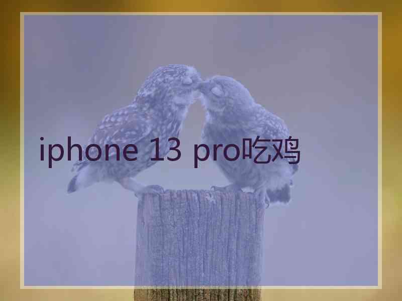 iphone 13 pro吃鸡