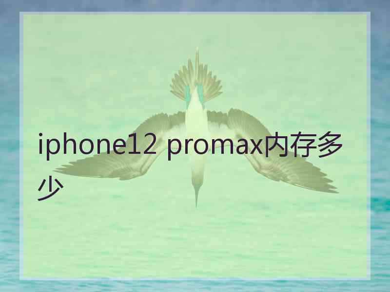 iphone12 promax内存多少