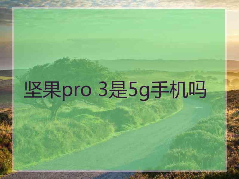 坚果pro 3是5g手机吗