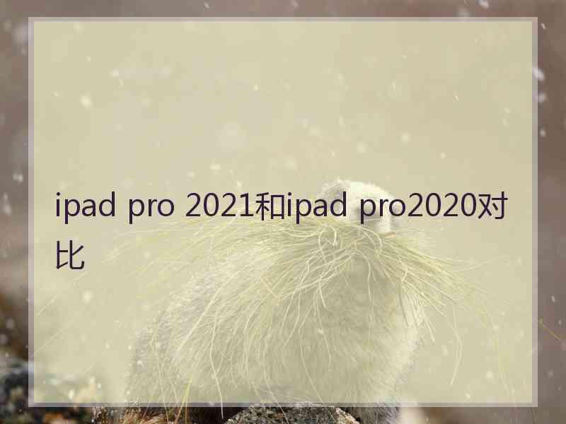 ipad pro 2021和ipad pro2020对比