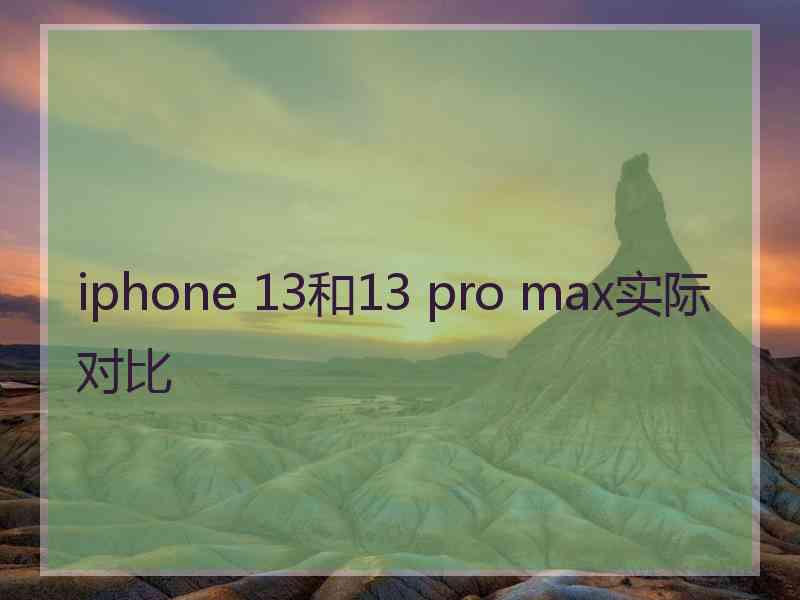 iphone 13和13 pro max实际对比