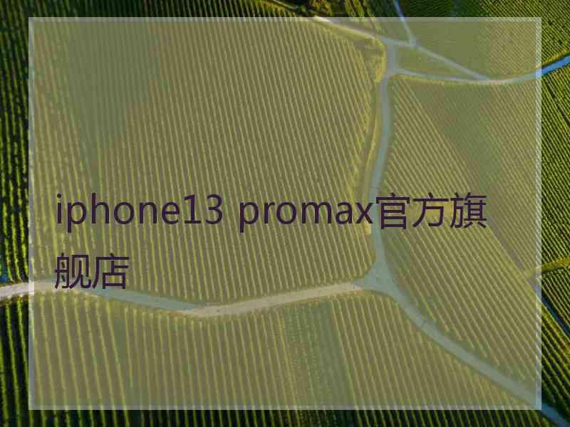 iphone13 promax官方旗舰店