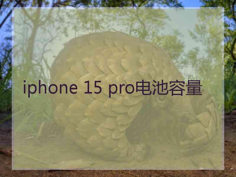 iphone 15 pro电池容量