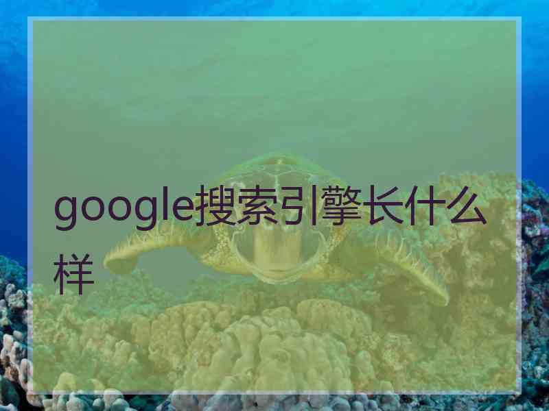 google搜索引擎长什么样