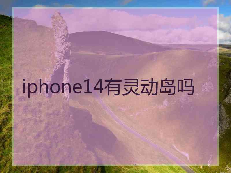 iphone14有灵动岛吗