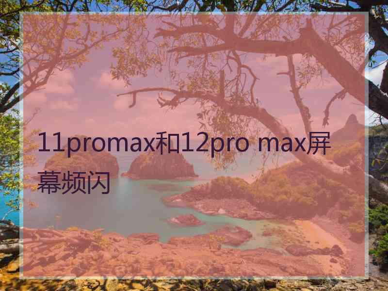 11promax和12pro max屏幕频闪