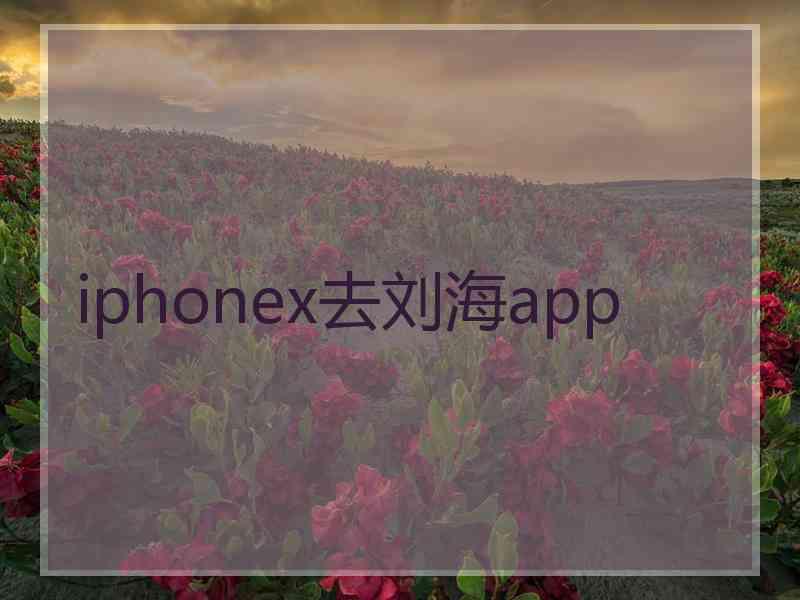 iphonex去刘海app