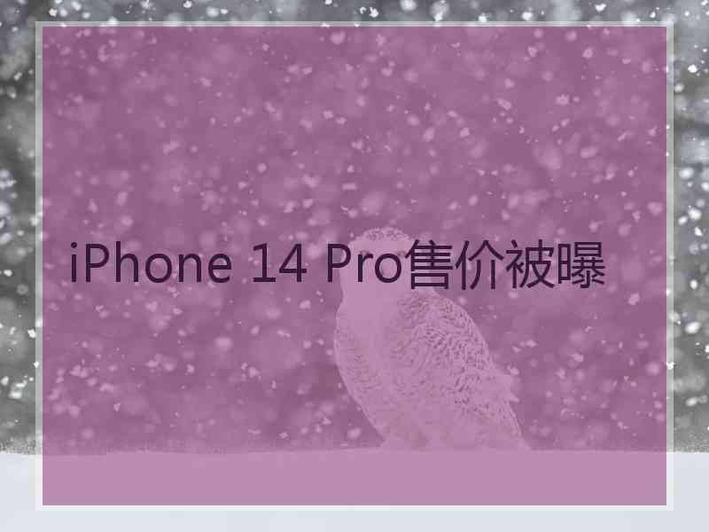 iPhone 14 Pro售价被曝