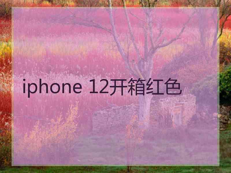 iphone 12开箱红色