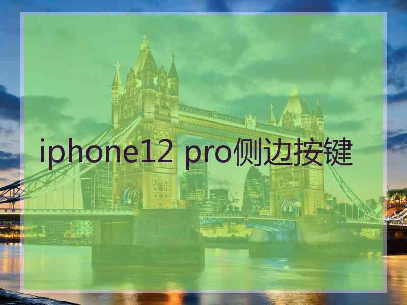 iphone12 pro侧边按键