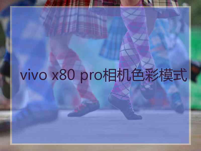 vivo x80 pro相机色彩模式