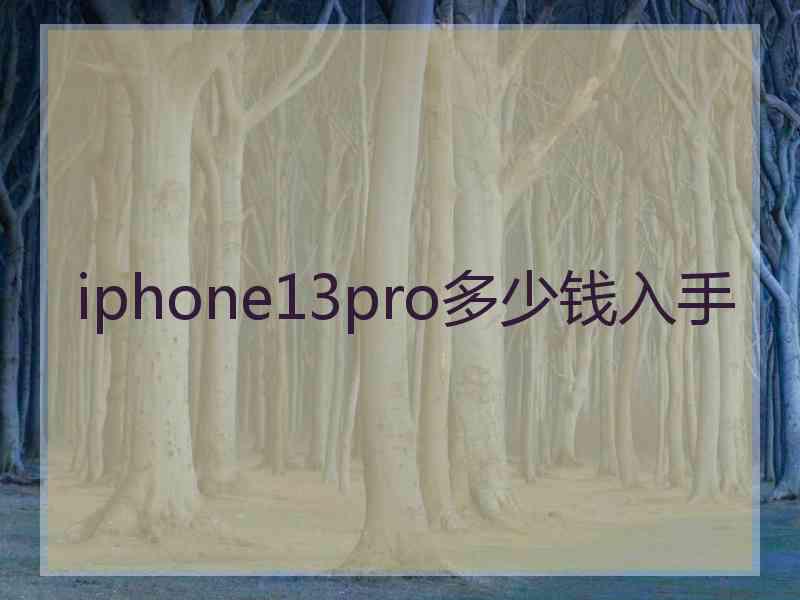 iphone13pro多少钱入手