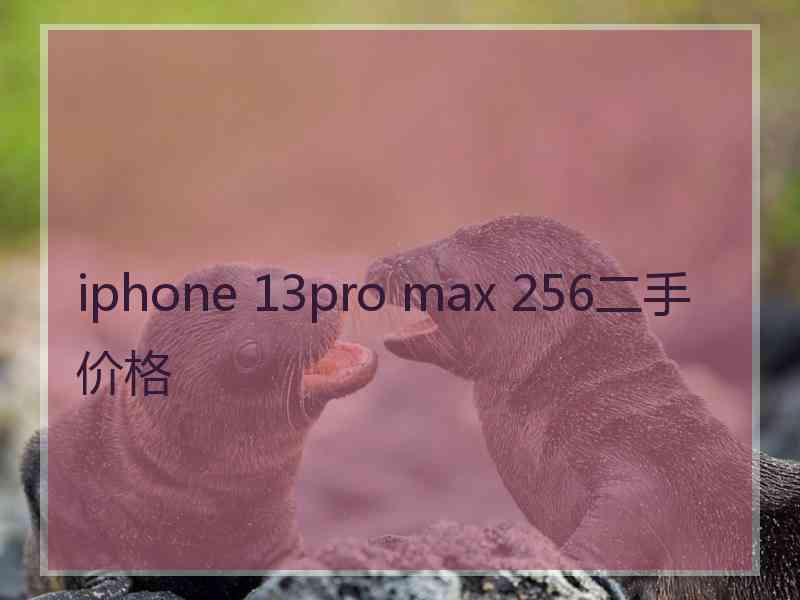 iphone 13pro max 256二手价格