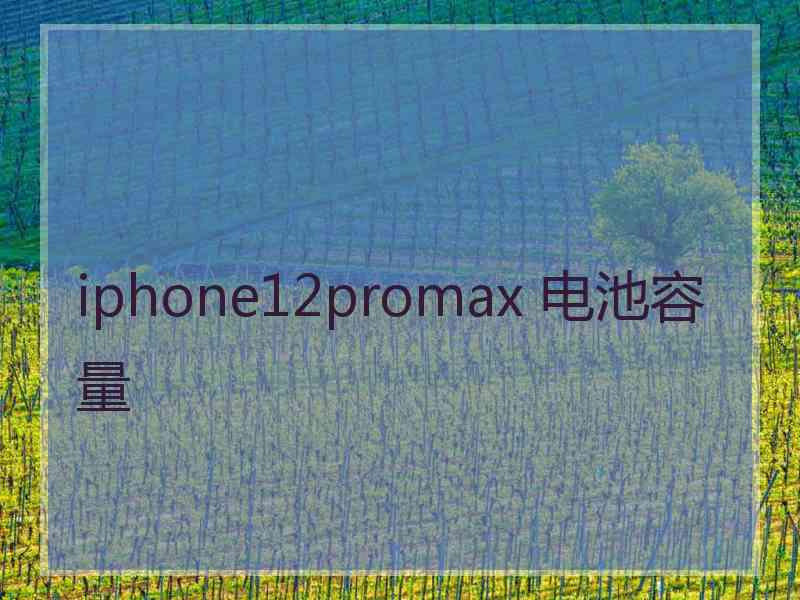 iphone12promax 电池容量