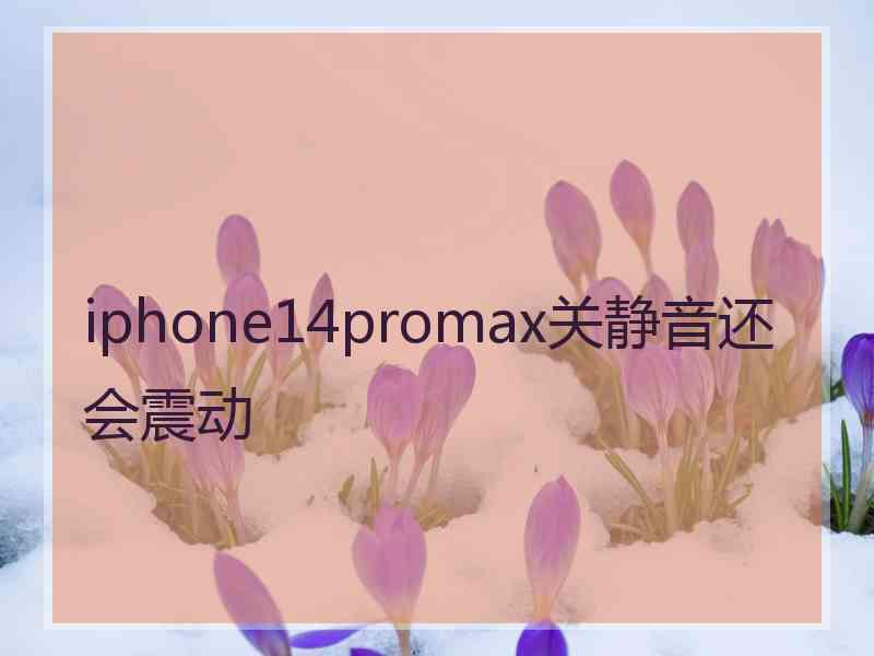 iphone14promax关静音还会震动