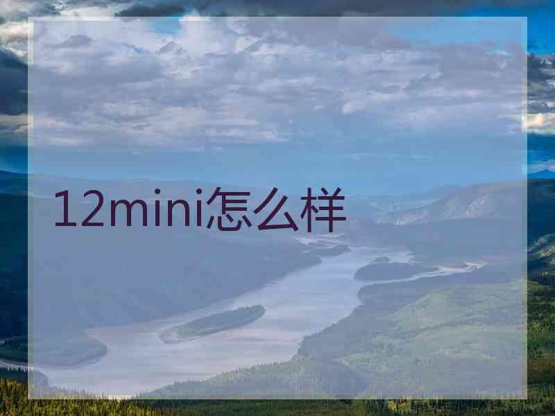 12mini怎么样