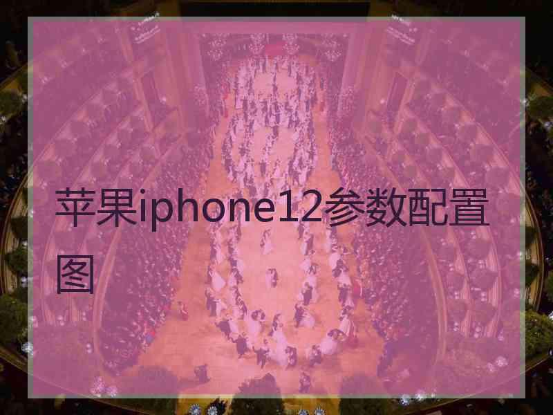 苹果iphone12参数配置图