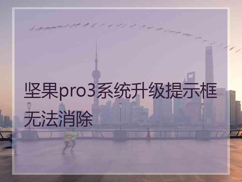 坚果pro3系统升级提示框无法消除