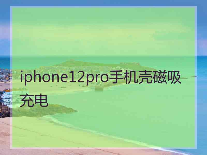 iphone12pro手机壳磁吸充电