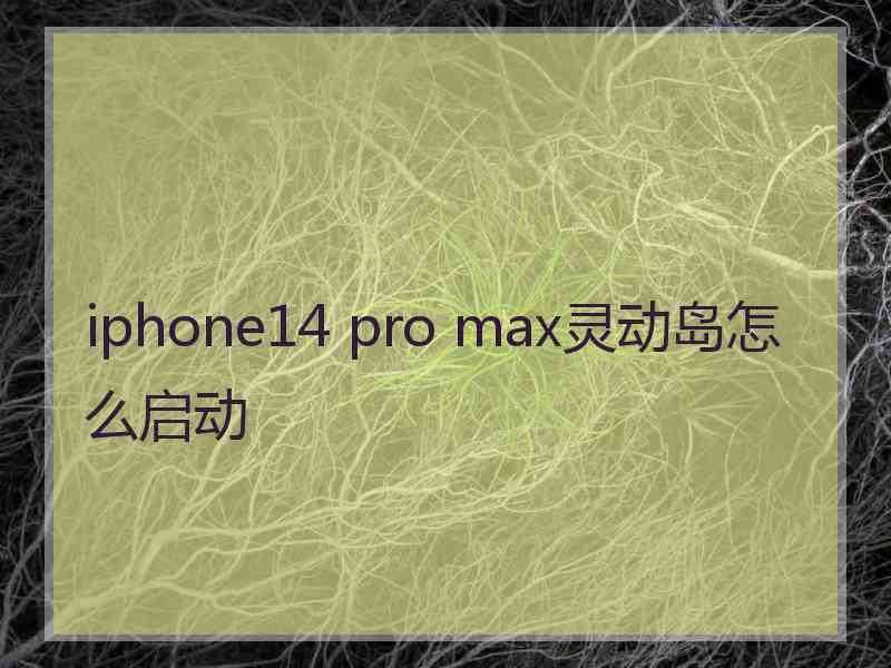 iphone14 pro max灵动岛怎么启动