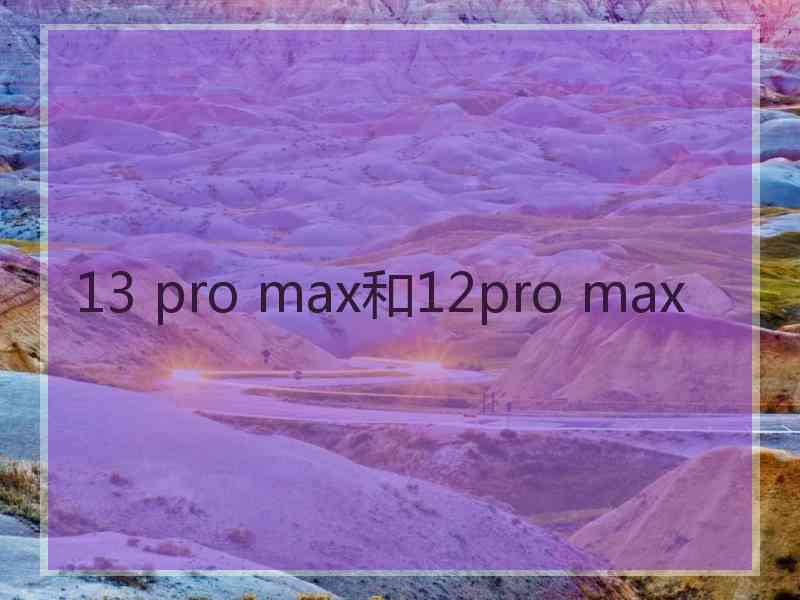 13 pro max和12pro max