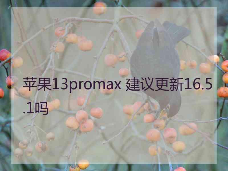 苹果13promax 建议更新16.5.1吗