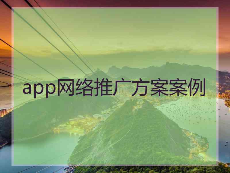 app网络推广方案案例