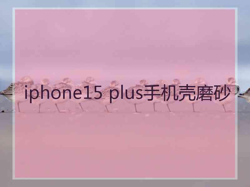 iphone15 plus手机壳磨砂