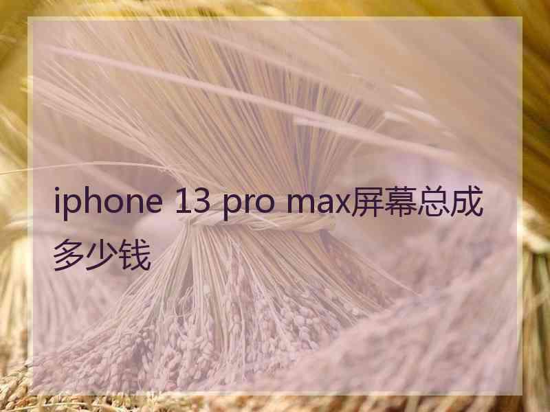 iphone 13 pro max屏幕总成多少钱