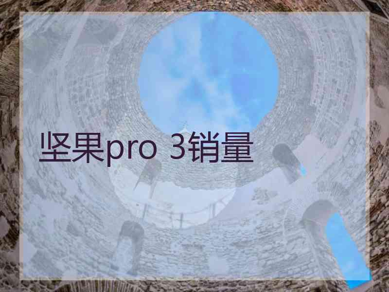 坚果pro 3销量