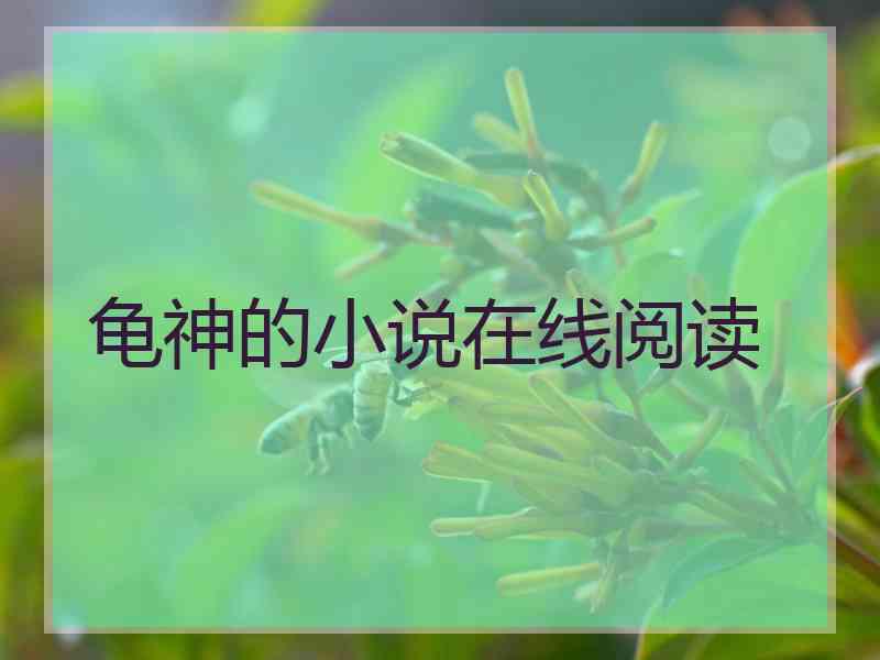 龟神的小说在线阅读