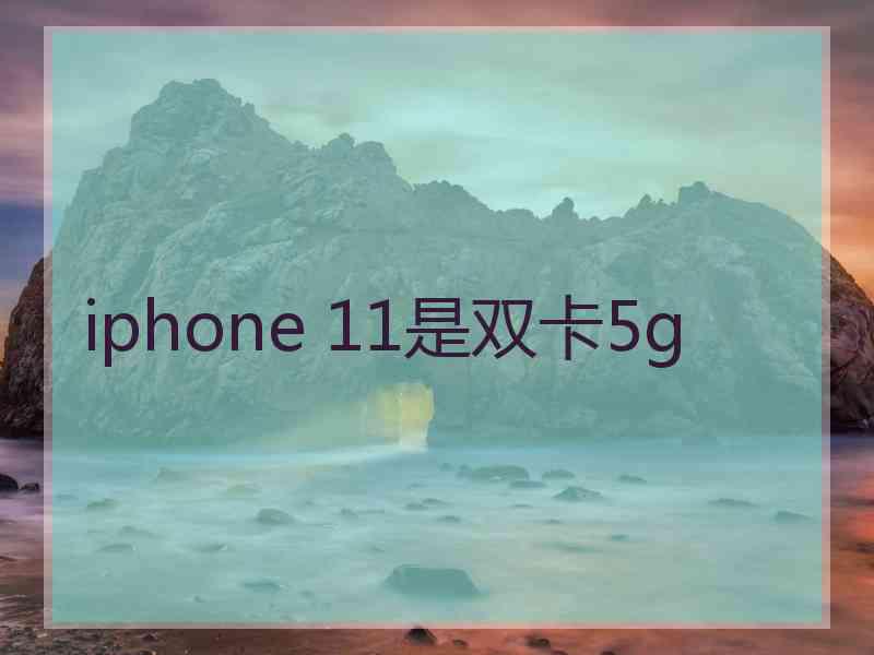 iphone 11是双卡5g