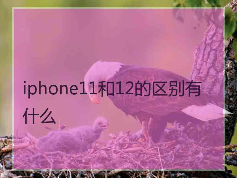 iphone11和12的区别有什么