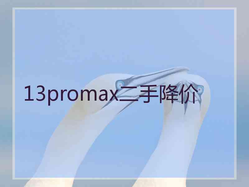 13promax二手降价