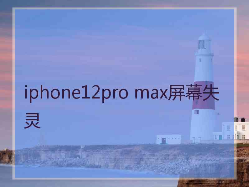 iphone12pro max屏幕失灵