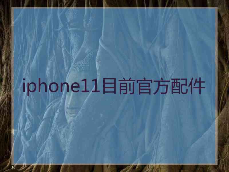 iphone11目前官方配件