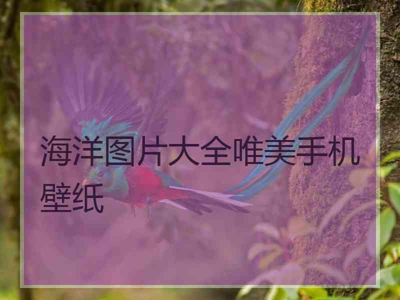 海洋图片大全唯美手机壁纸