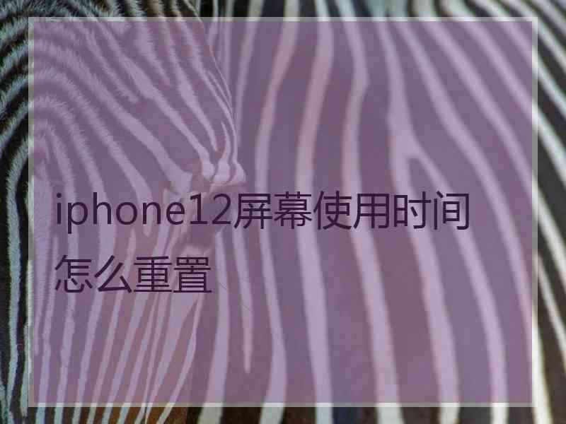 iphone12屏幕使用时间怎么重置