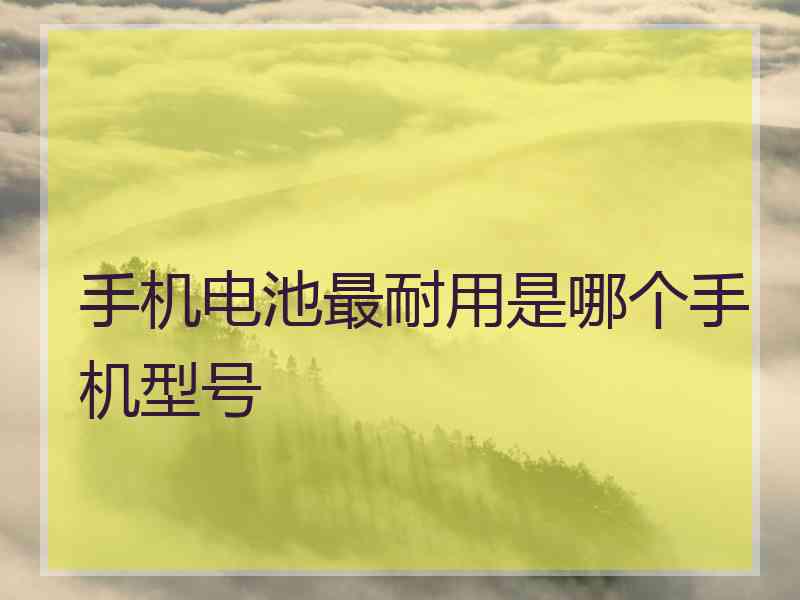 手机电池最耐用是哪个手机型号