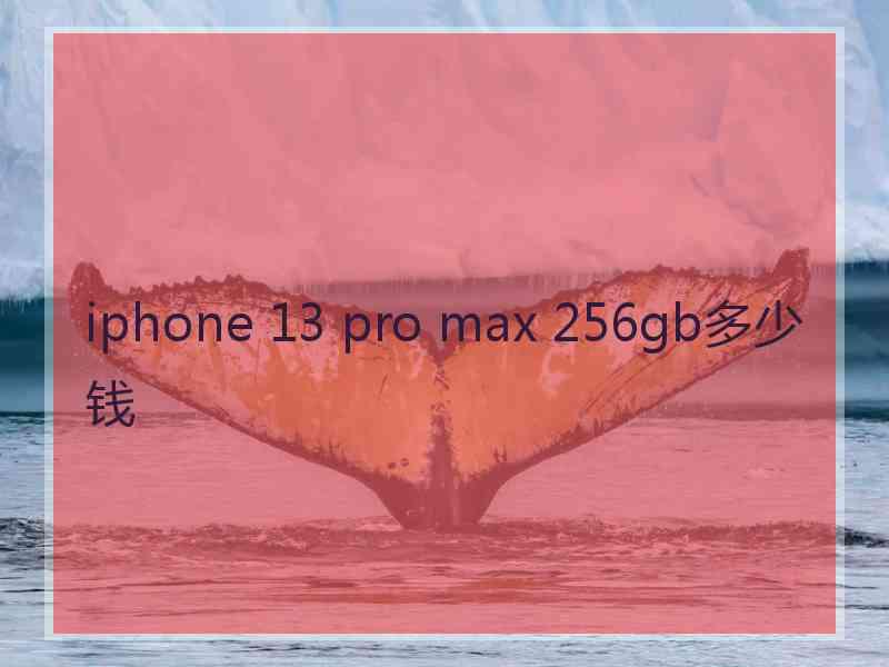 iphone 13 pro max 256gb多少钱