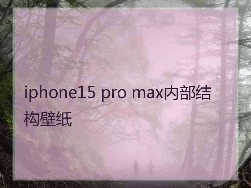 iphone15 pro max内部结构壁纸