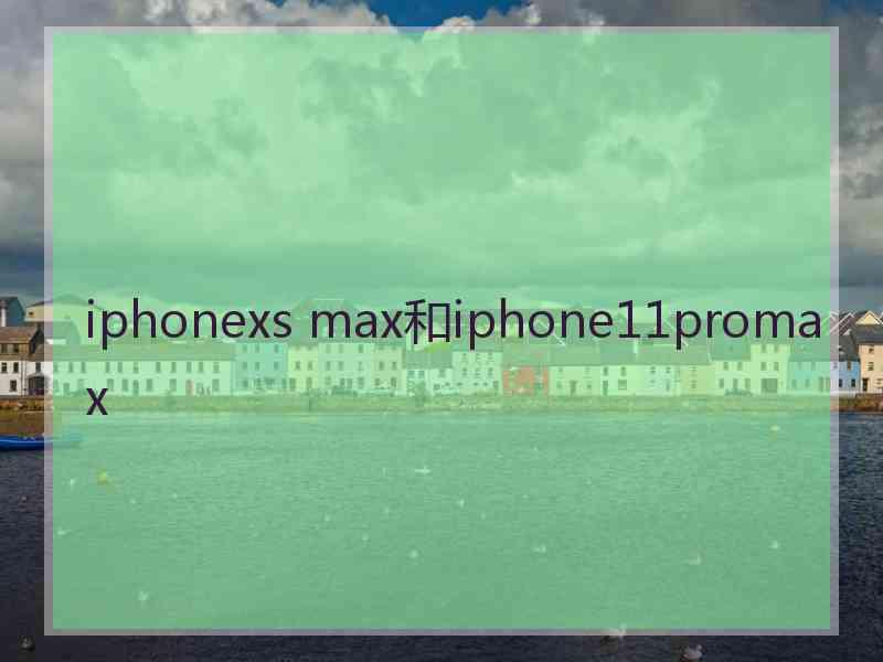 iphonexs max和iphone11promax