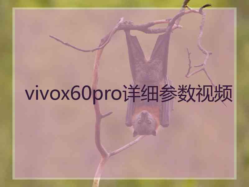 vivox60pro详细参数视频