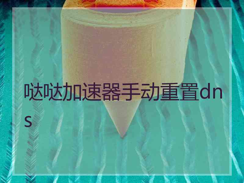 哒哒加速器手动重置dns