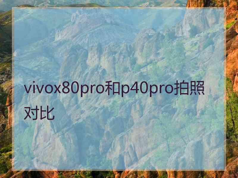 vivox80pro和p40pro拍照对比