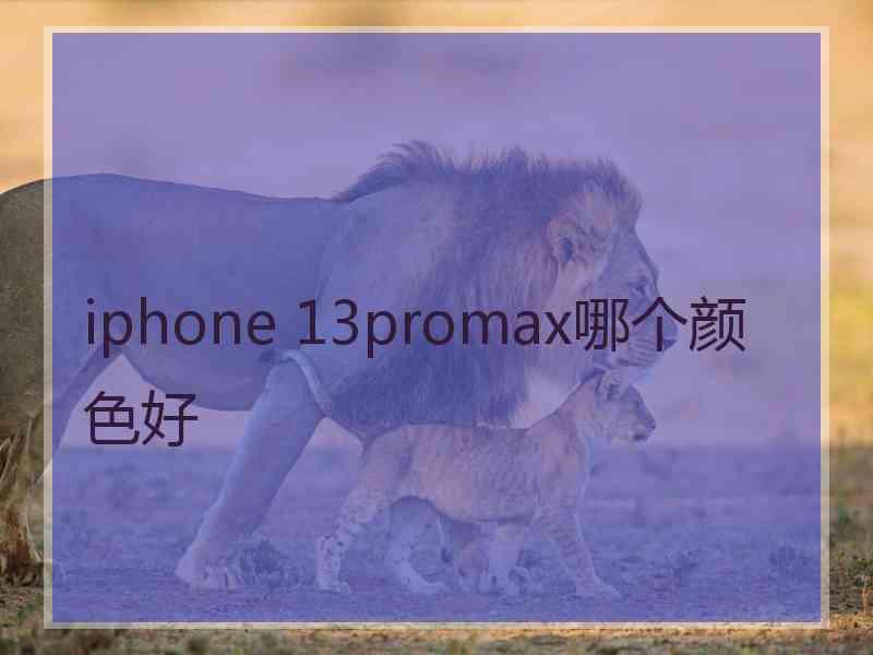 iphone 13promax哪个颜色好