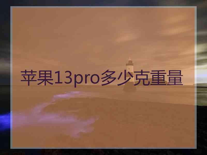 苹果13pro多少克重量