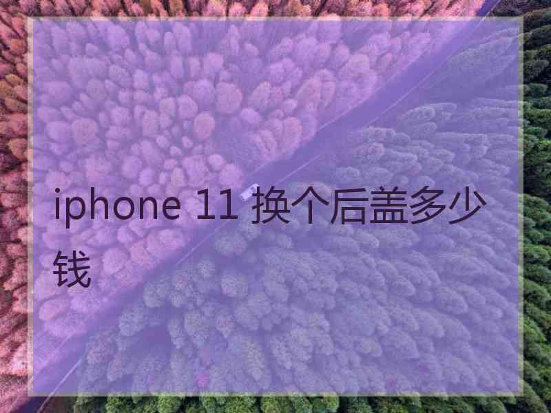 iphone 11 换个后盖多少钱